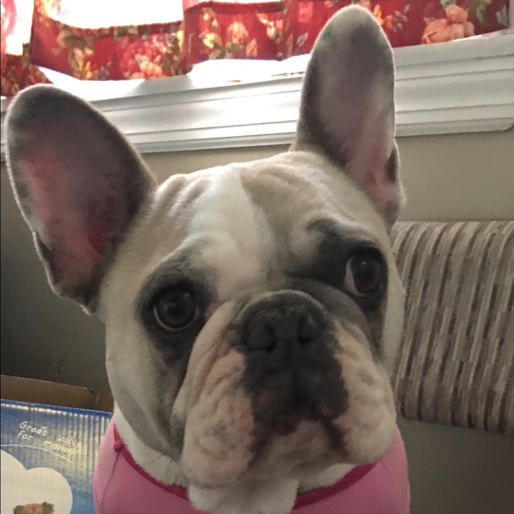 Meet your Posher, Esther